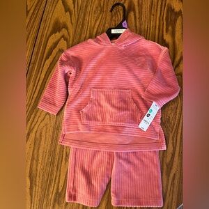 Baby Girl Outfit NWT